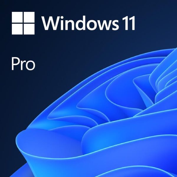Win 11 Pro GGK 64Bit Eng Intl 1pk DSP ORT OEI DVD
